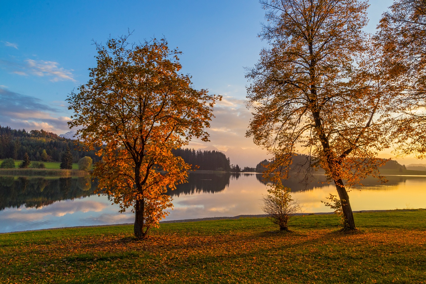 Herbsttöne am Illasbergsee