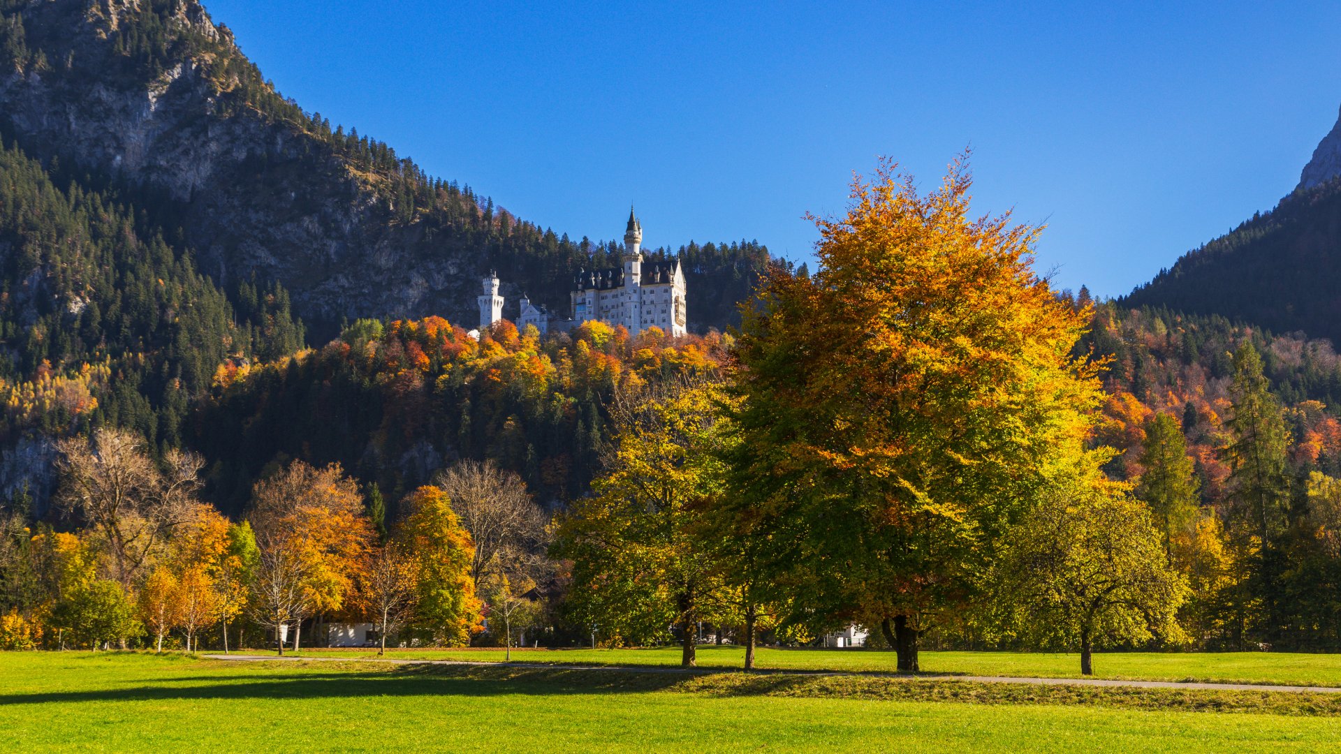 Schloss Neuschwanstein im Allgäu