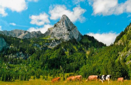 Der Geiselstein im Sommer